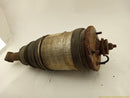 Land Rover LR4 Passenger Right Rear Air Suspension Strut-12