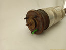 Land Rover LR4 Driver Left Front Air Suspension Strut-5