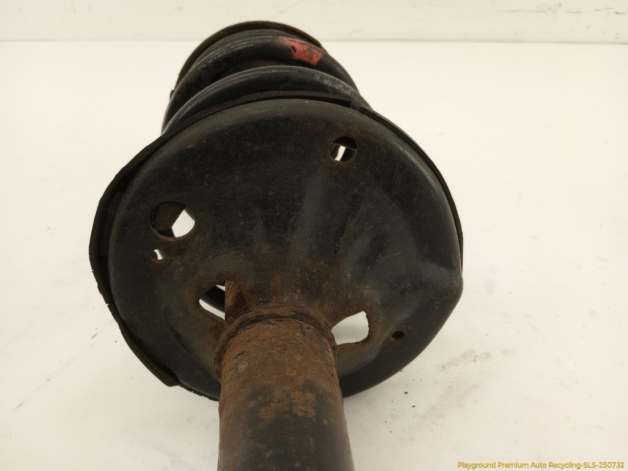 Toyota Celica Passsenger Right Front Strut