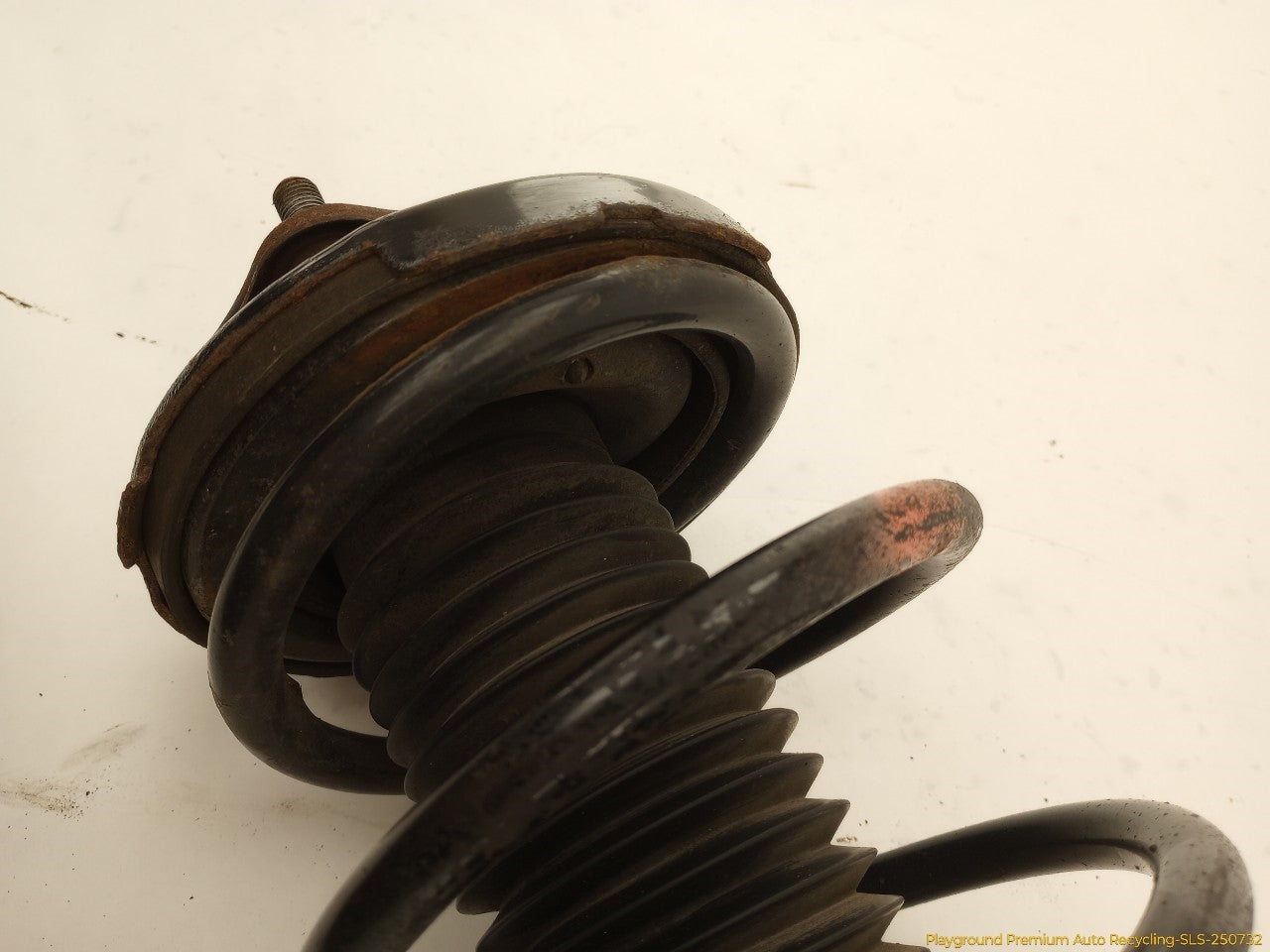 Toyota Celica Passsenger Right Front Strut