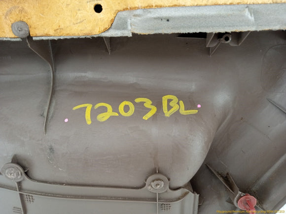 Toyota 4Runner Driver Left Rear Door Trim