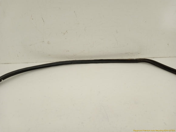 Toyota 4Runner Liftgate Molding