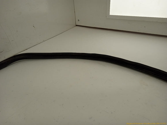 Toyota 4Runner Liftgate Molding