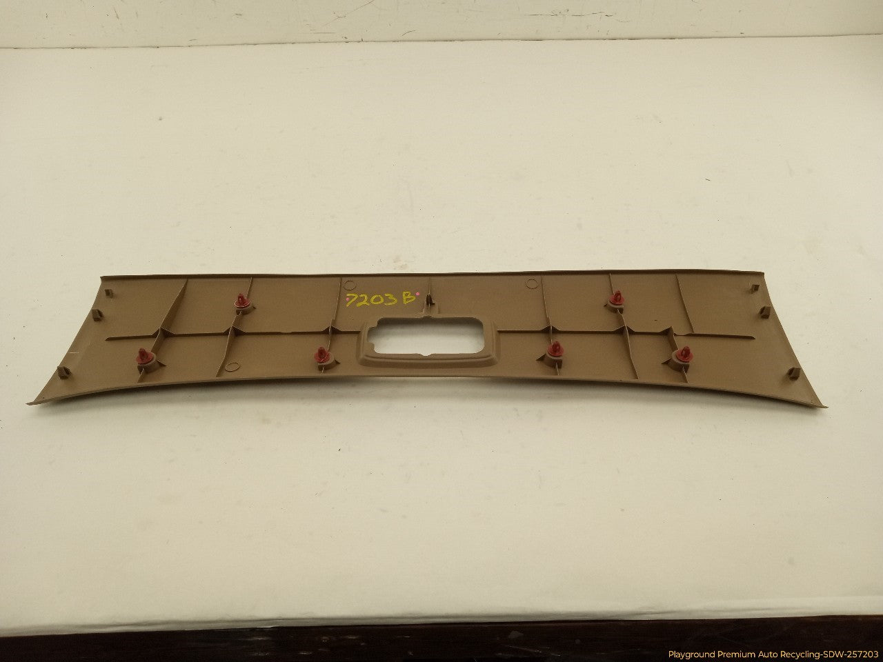 Toyota 4Runner Rear Overhead Trim Panel