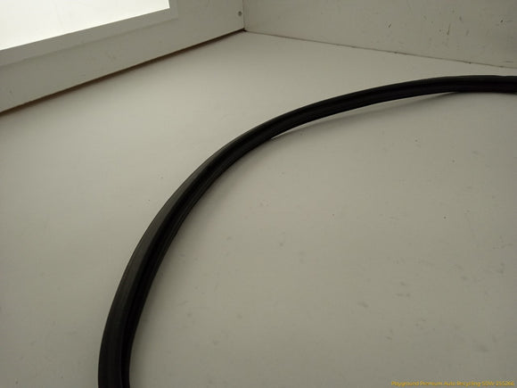 Toyota 4Runner Liftgate Molding