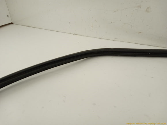 Toyota 4Runner Liftgate Molding