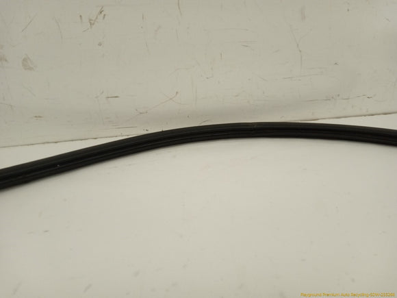 Toyota 4Runner Liftgate Molding
