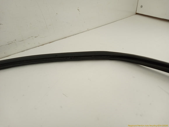 Toyota 4Runner Liftgate Molding