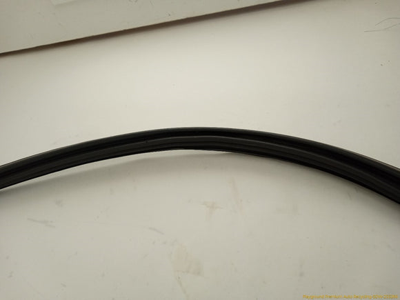 Toyota 4Runner Liftgate Molding