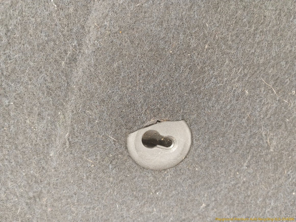 BMW 318ti Rear Spare Tire Cover