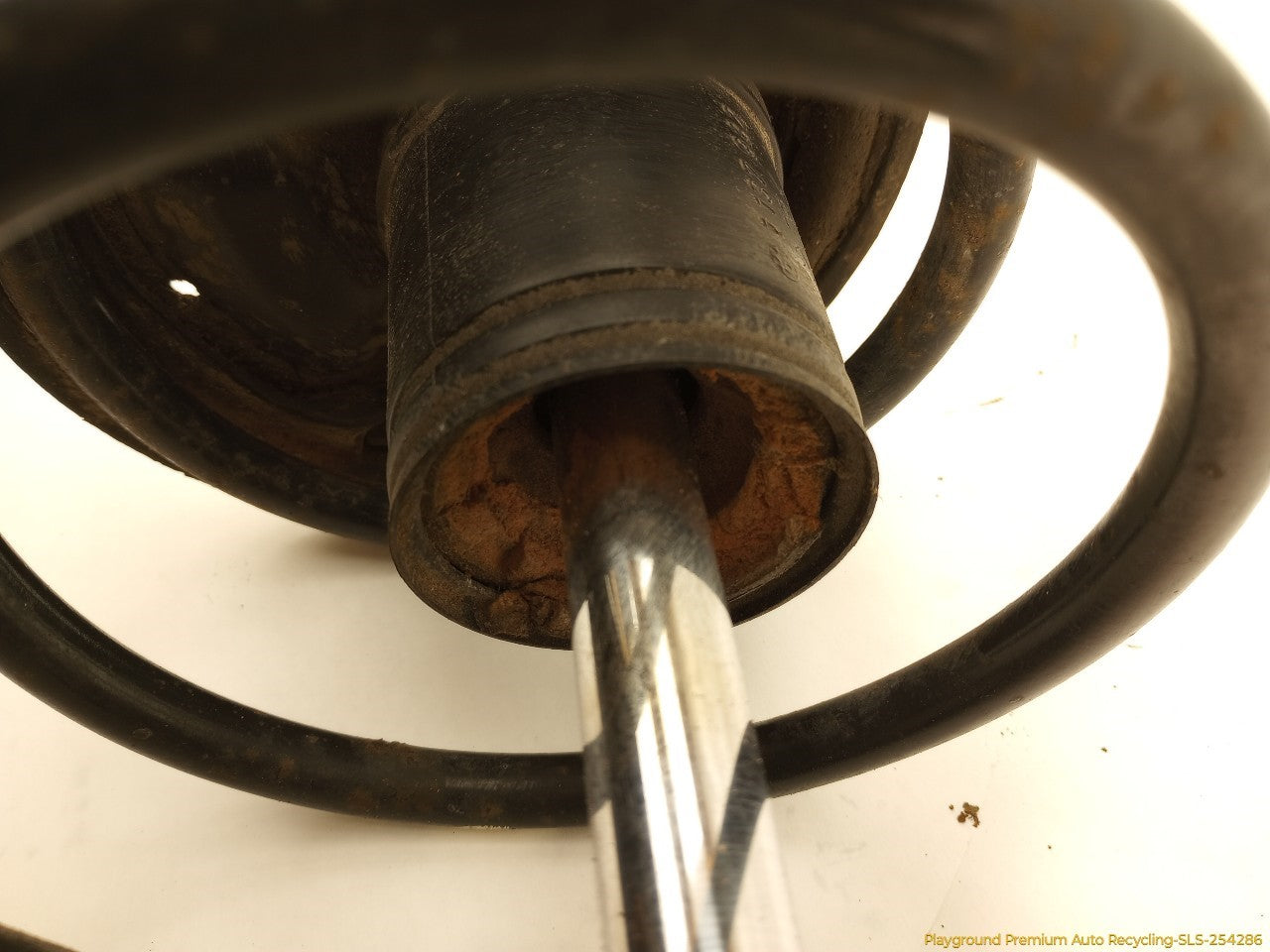 BMW 318ti Passenger Right Front Strut