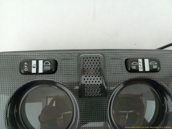 Fiat 500 Dome Light & Grab Handle