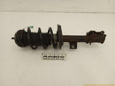 Fiat 500 Passenger Right Front Strut-1