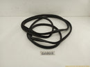 Fiat 500 Driver Left Front Door Molding-1