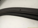 Fiat 500 Driver Left Front Door Molding-11