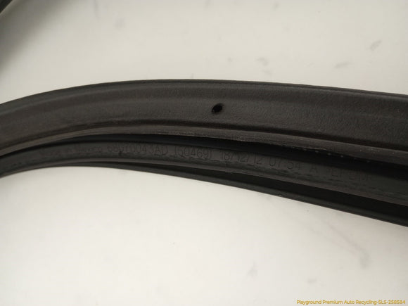 Fiat 500 Driver Left Front Door Molding
