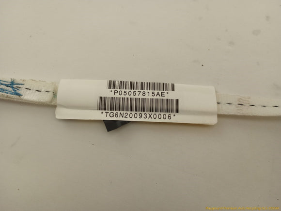 Fiat 500 Driver Left Side Curtain Airbag