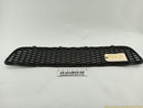 Fiat 500 Front Center Lower Grille-1
