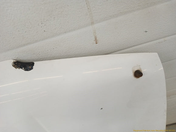 Toyota 4Runner Hood Bonnet Panel