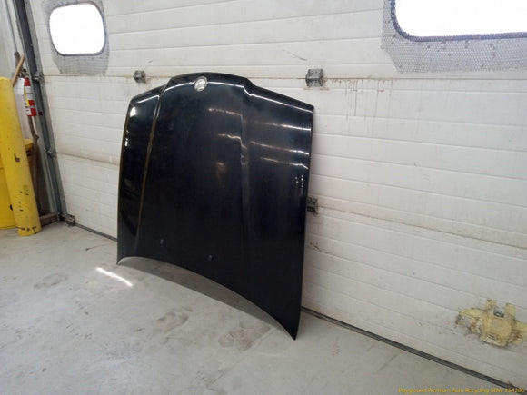 BMW 318ti Hood Bonnet Panel