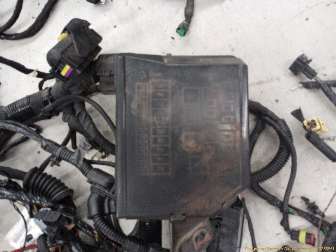 Fiat 500 Body Wiring Harness