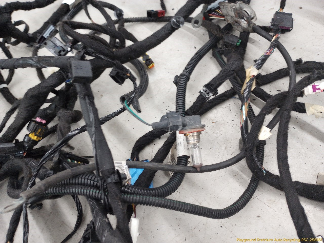 Fiat 500 Body Wiring Harness