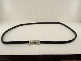 Fiat 500 Passenger Right Front Door Molding