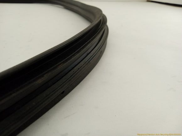 Fiat 500 Passenger Right Front Door Molding