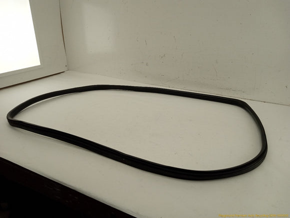 Fiat 500 Passenger Right Front Door Molding