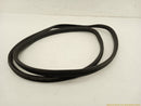 Fiat 500 Passenger Right Front Door Molding-6