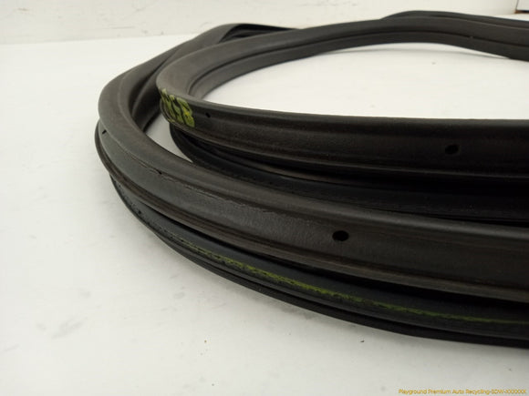 Fiat 500 Passenger Right Front Door Molding