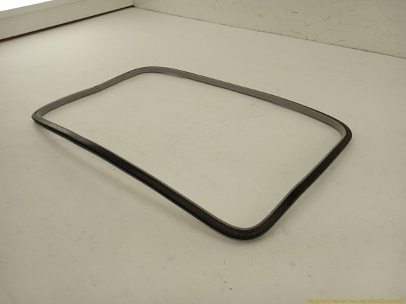 BMW 330XI Sunroof Molding