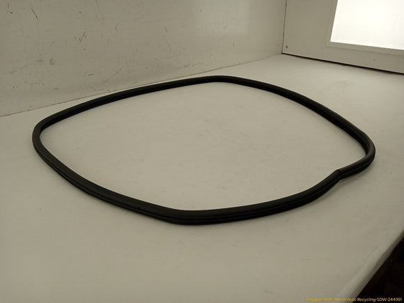 BMW 330XI Passenger Right Rear Door Molding