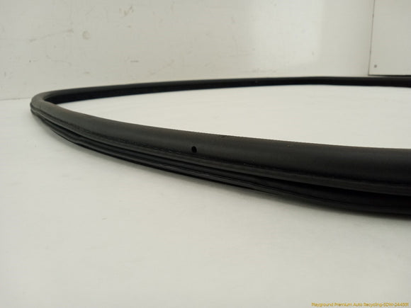 BMW 330XI Passenger Right Rear Door Molding
