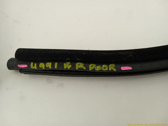 BMW 330XI Passenger Right Rear Door Molding