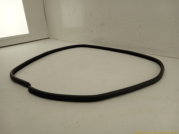 BMW 330XI Driver Left Rear Door Molding