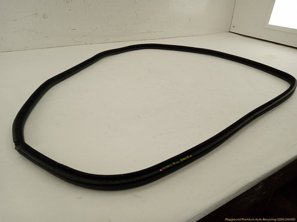 BMW 330XI Driver Left Rear Door Molding