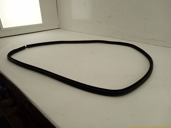 BMW 330XI Driver Left Rear Door Molding