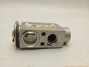 BMW 330XI AC Expansion Valve-8