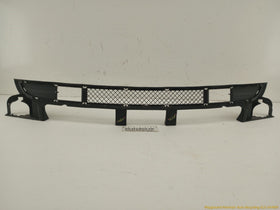 BMW 330XI Front Lower Bumper Grille
