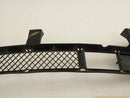 BMW 330XI Front Lower Bumper Grille-4
