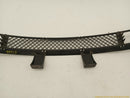 BMW 330XI Front Lower Bumper Grille-8