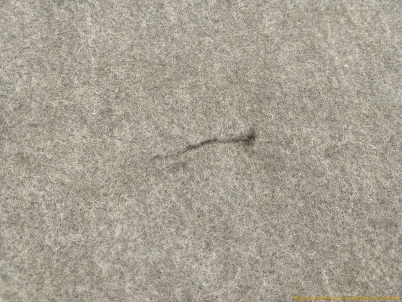 Lexus IS300 Trunk Lid Trim