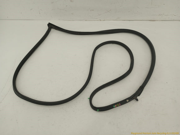 Lexus IS300 Set Of 4 Door Panel Moldings