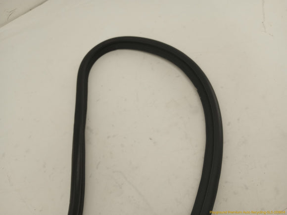 Lexus IS300 Trunk Molding Trim