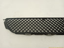 Lexus IS300 Upper Radiator Grille-3