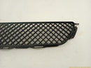 Lexus IS300 Upper Radiator Grille-4