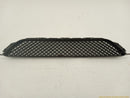 Lexus IS300 Upper Radiator Grille-11
