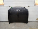 Lexus IS300 Hood Panel-1