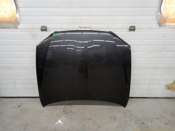 Lexus IS300 Hood Panel